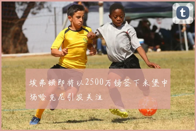 埃弗顿即将以2500万镑签下米堡中场哈克尼引发关注